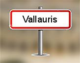 Diagnostiqueur immobilier Vallauris